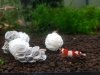 Baby Shrimp Shelters Zielony 1 szt super schronienie